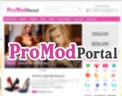 WPT ProMod Portal Teması