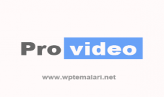 WPT Provideo Responsive Video Teması